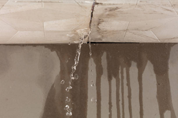 Professional Structural Drying technician working in Harvey, ND